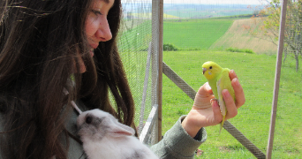 cécile pet sitter à TOULOUSE 31400_1