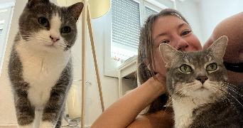 mgn pet sitter à PARIS 15 75015_3