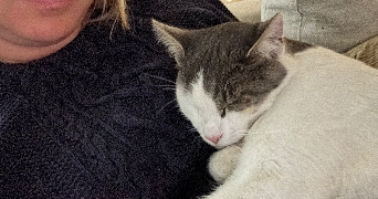 cloé pet sitter à SALON DE PROVENCE 13300_1