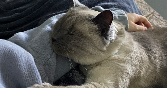 emma pet sitter à DIJON 21000_4