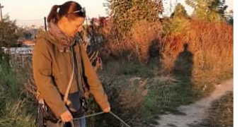 sandra dog sitter à LILLE 59800_1