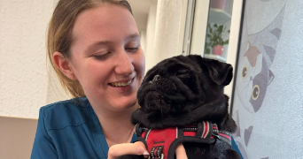 sarah pet sitter à MONTRABE 31850_1