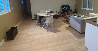 luna pet sitter à TOURS 37000_7