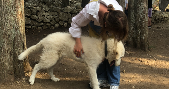 ainhoa pet sitter à CHARENTON LE PONT 94220_2