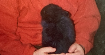 faustine pet sitter à Grenoble 38000_1