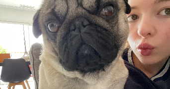 rose pet sitter à TOULOUSE 31000_2