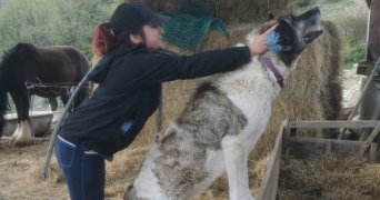margot pet sitter à BOUGUENAIS 44340_2
