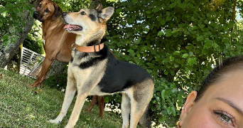 clementine pet sitter à CHILLY MAZARIN 91380_6