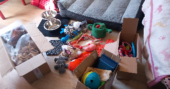 chloé dog sitter à TOULOUSE 31000_2