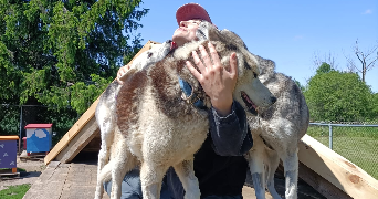 lou pet sitter à VILLARD DE LANS 38250_2