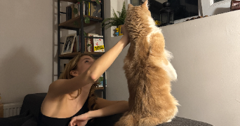 alara pet sitter à STRASBOURG 67000_2