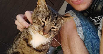 thomas pet sitter à ST DENIS 93200_1