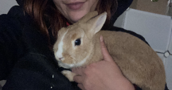 amal pet sitter à LA SEYNE SUR MER 83500_3
