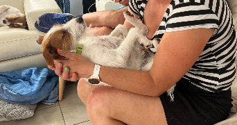 mélissande pet sitter à ST ETIENNE DE CHIGNY 37230_5