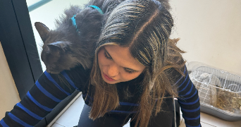 theana pet sitter à LAUTREC 81440_1