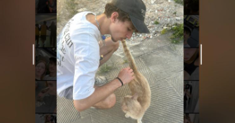 erwan pet sitter à CANOHES 66680_0