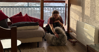 alix dog sitter à PARIS 11 75011_2