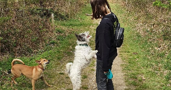 camille pet sitter à BEYNES 78650_3