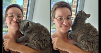 eva pet sitter à TREBEURDEN 22560_13