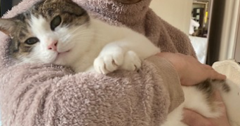 catherine pet sitter à BOULOGNE BILLANCOURT 92100_6