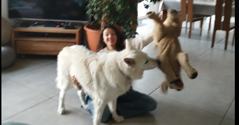 léane pet sitter à TOULOUSE 31000_3