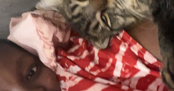 mylena cat sitter à BEZONS 95870_1