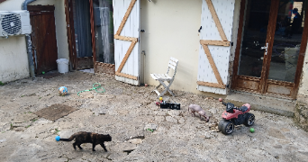 maud pet sitter à MACORNAY 39570_3