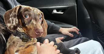 marie pet sitter à NOISY LE GRAND 93160_4