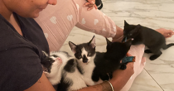 naomie pet sitter à VILLIERS SUR MARNE 94350_5