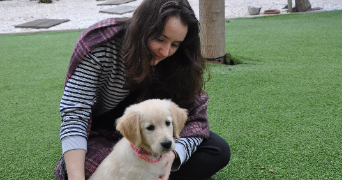 mila pet sitter à BREST 29200_5