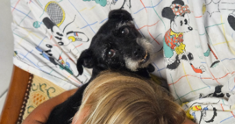 marlene pet sitter à AUNEAU BLEURY ST SYMPHORIEN 28700_82