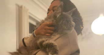 liu pet sitter à RENNES 35000_1