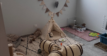 ines pet sitter à CENON 33150_1