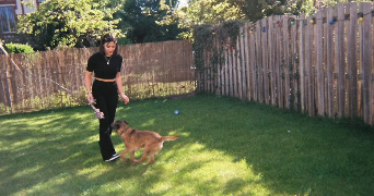 laurie pet sitter à MASSY 91300_3