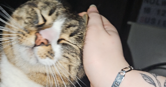 susie pet sitter à AIX LES BAINS 73100_1