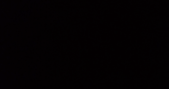 elias pet sitter à LYON 07 69007_0