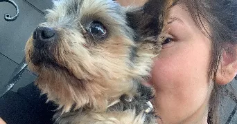 margaux pet sitter à MORSANG SUR ORGE 91390