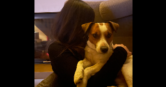 charlotte dog sitter à MURES 74540_6