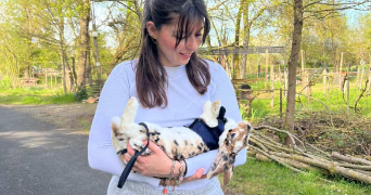 eva pet sitter à ANGERS 49000_1
