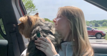 lea pet sitter à SAUGNAC ET CAMBRAN 40180_2