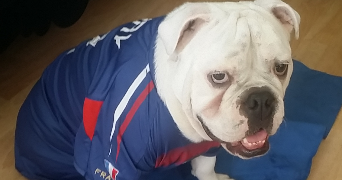 vilfeu pet sitter à PARIS 13 75013_3