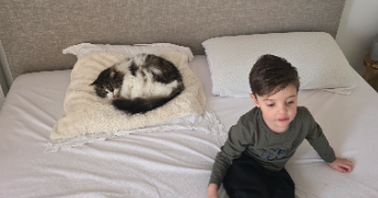 lya pet sitter à ST ANDRE DE CUBZAC 33240_0