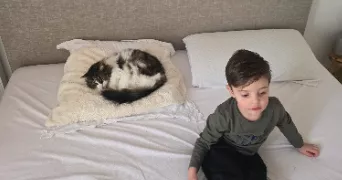 lya pet sitter à ST ANDRE DE CUBZAC 33240