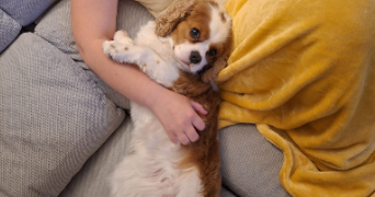 victoria pet sitter à EPAGNY METZ TESSY 74330_1