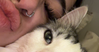 bacave pet sitter à CASTELNAU LE LEZ 34170_0
