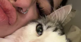 bacave pet sitter à CASTELNAU LE LEZ 34170
