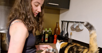 yuna pet sitter à HENNEBONT 56700_2