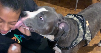 jasmine pet sitter à PARIS 15 75015_1