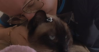 léa pet sitter à FRAISSES 42490_0