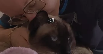 léa pet sitter à FRAISSES 42490